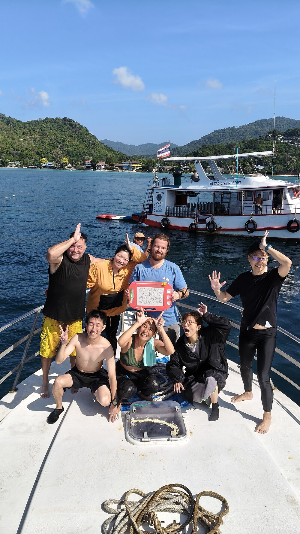 タオ島 ジンベエザメ