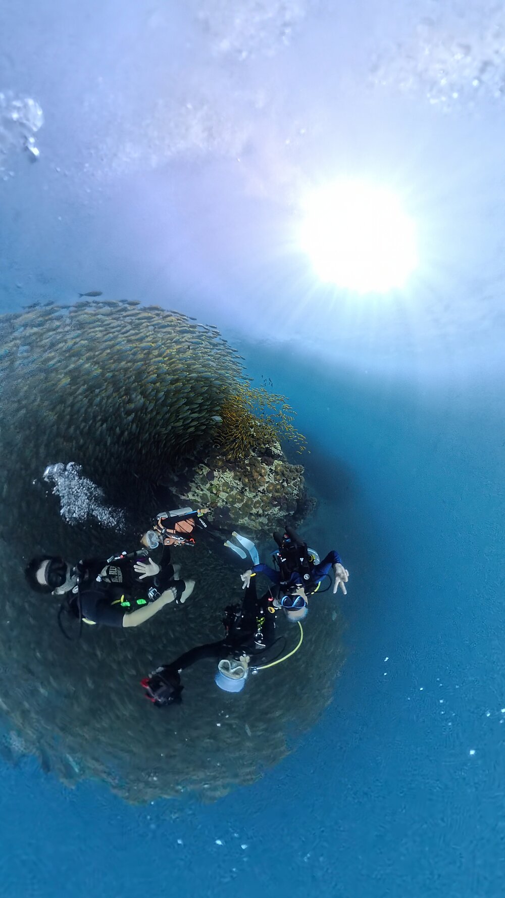 タオ島　ダイビング　集合