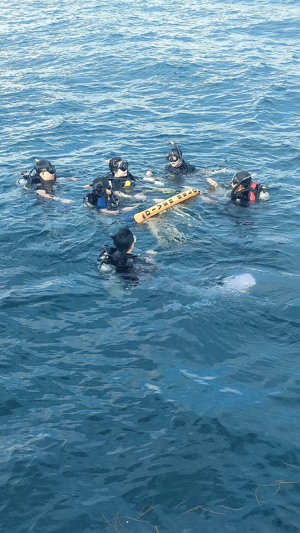 タオ島ダイビング　ダイブマスター