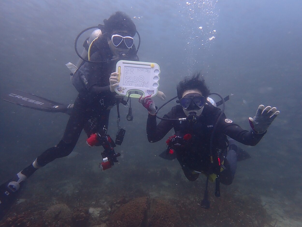 記念ダイブ タオ島