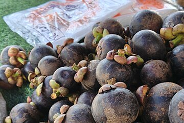 ブログ「GWの様子と最近の海の様子諸々…」サムネイル画像